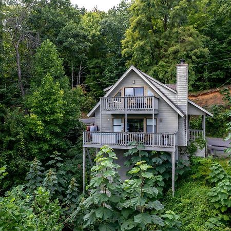 Holly Tree Cabin 936 แกตลิงเบิร์ก ภายนอก รูปภาพ