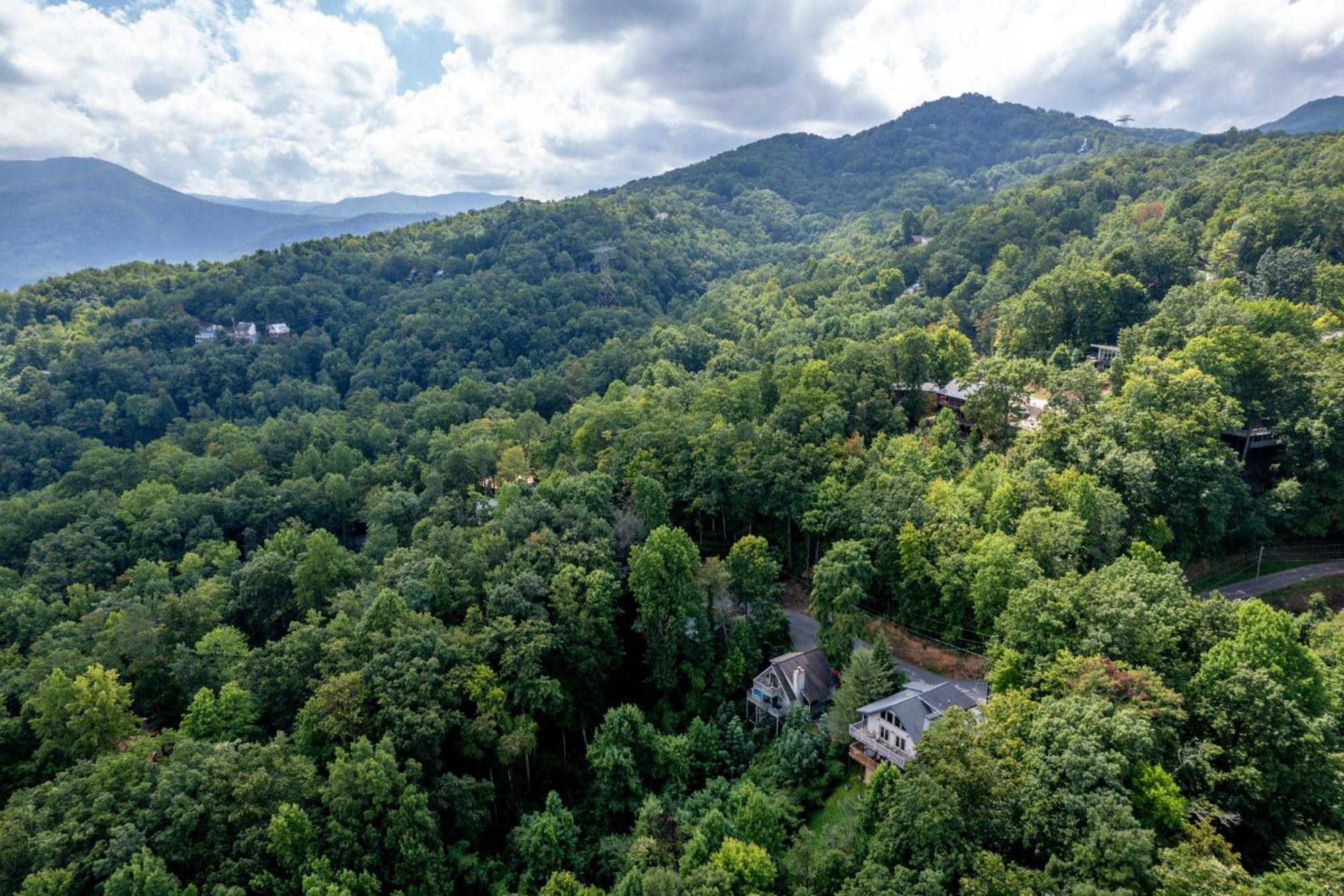 Holly Tree Cabin 936 แกตลิงเบิร์ก ภายนอก รูปภาพ